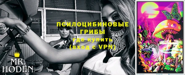 мдпв Сафоново
