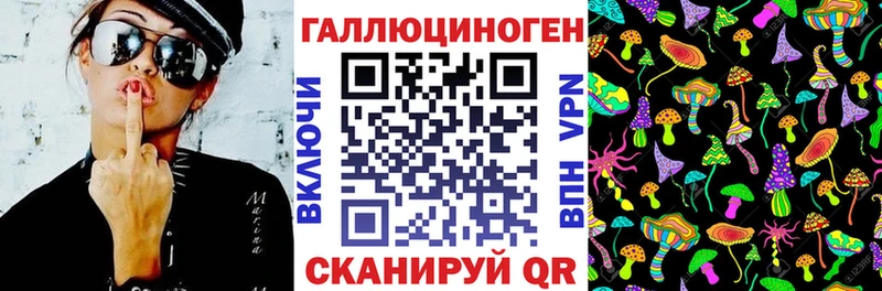 Галлюциногенные грибы мицелий  блэк спрут как зайти  Болотное 